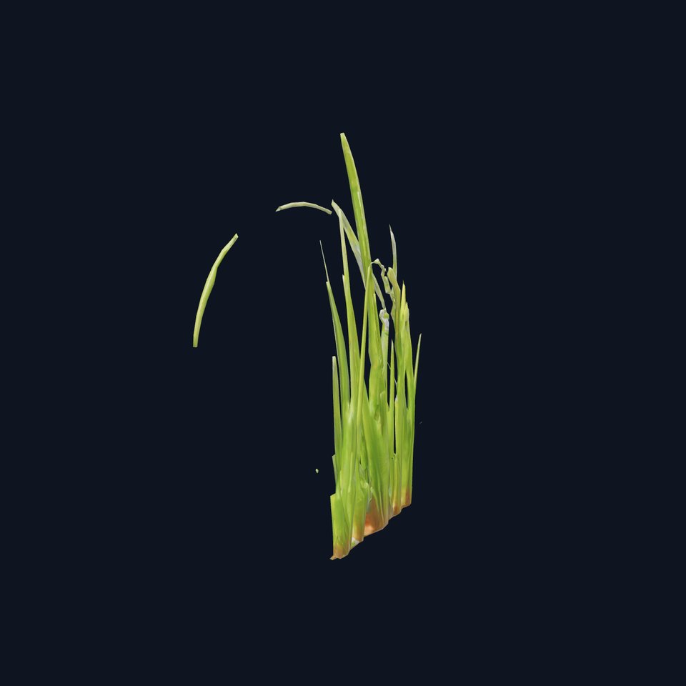 Vibrant Grass Blade model pack